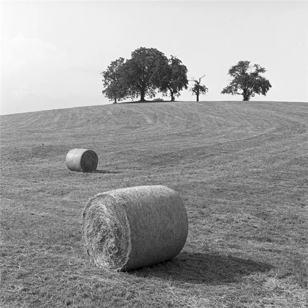 TB2Czw5eFXXXXcgXXXXXXXXXXXX_!!57897477