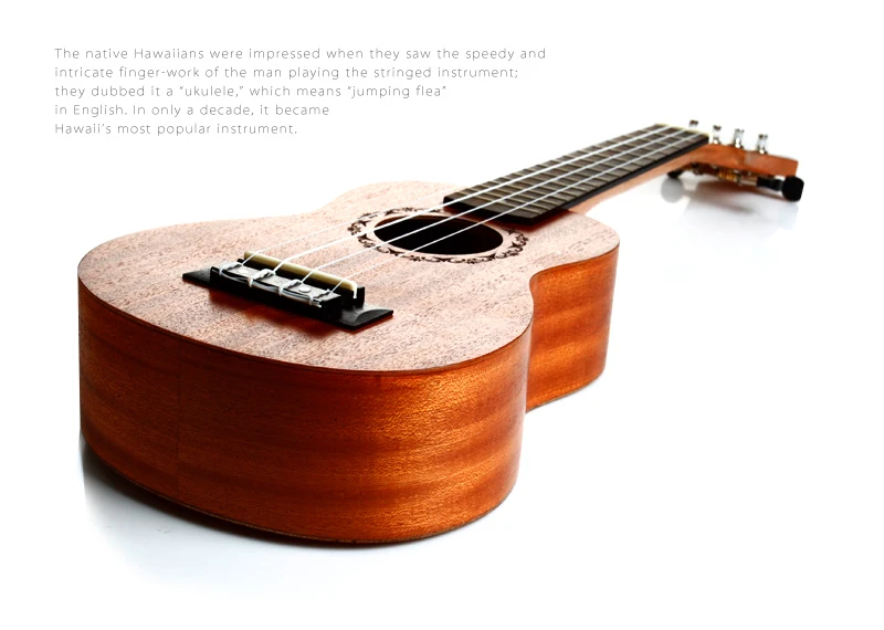 ukulele1_06
