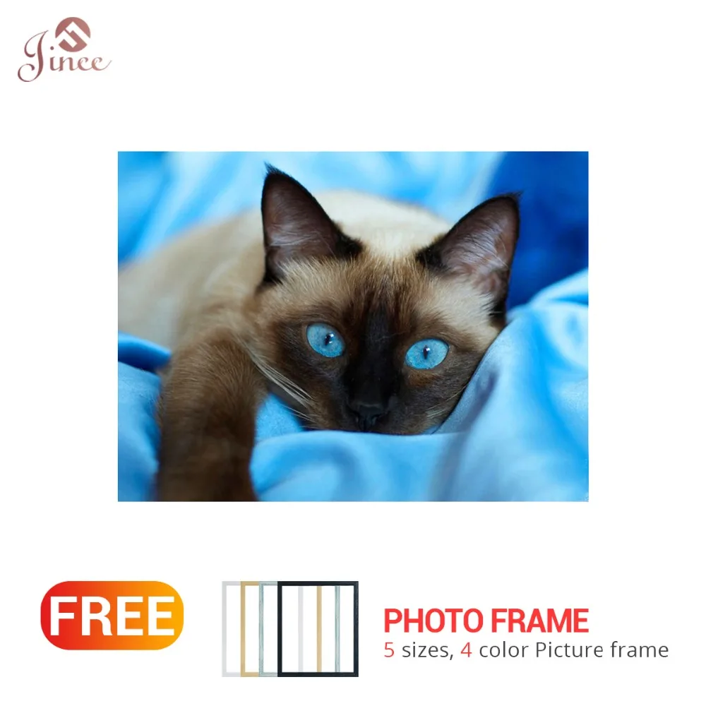 Embroidery 5D DIY Diamond Painting Animal Cat Cross Stitch Full Circular Rhinestone 2019 Home Decoration Gift | Дом и сад