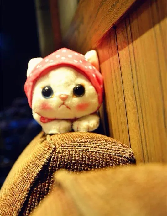 plush toy stuffed doll cute animal kerchief headband choo choo cat red cloak 1pc