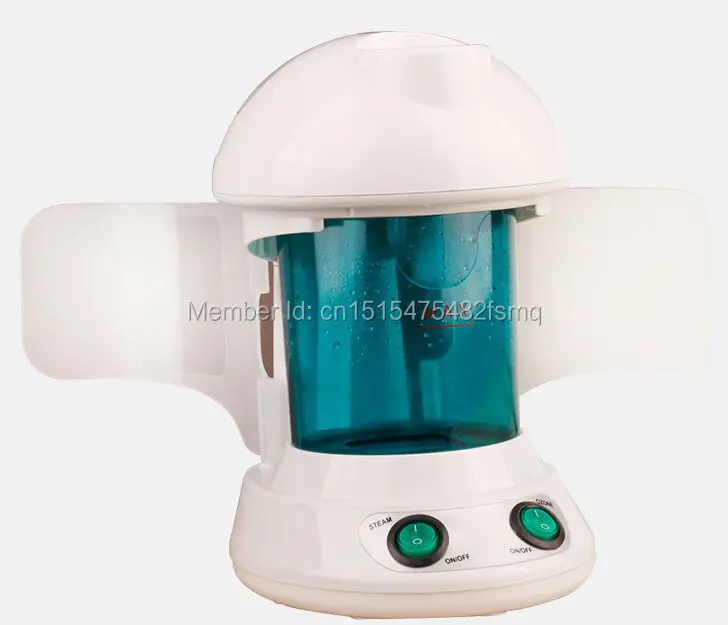 hair face steamer 4