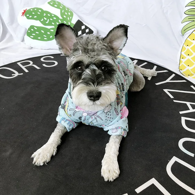 Buy Sun Protection Dogs Shirt Tulle Summer Pet Clothes Online For Small