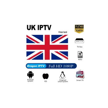 

UK IPTV Channels Subscription France UK German Arabic Dutch Sweden French Poland Portugal Smart TV M3U Live 9200+ VOD 5500+ USA