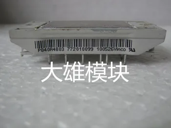 

P840A4803