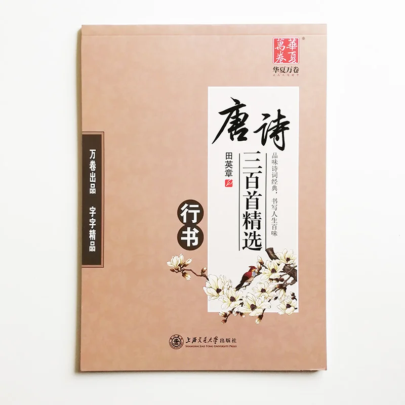 Тетрадь для китайской каллиграфии ручки Xingshu Tang поэма китайские иероглифы Тянь