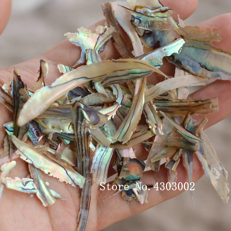 

100g/lot Natural Crushed Abalone Mother of Pearl shell for DIY Jewelry Crushed MOP Pearl shell for fake nails
