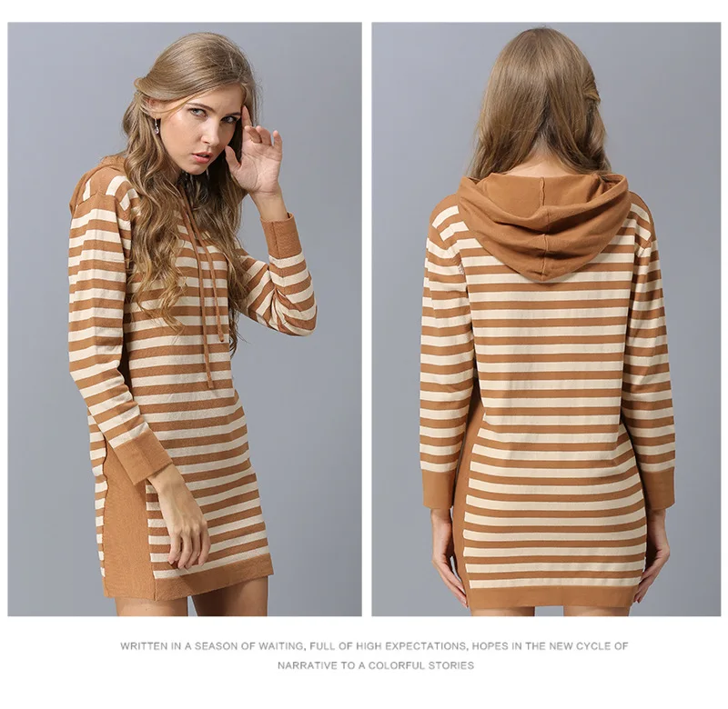 Europe and the United States autumn new simple sweater women striped long loose hooded hooded sweater sweater (13)