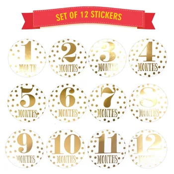 

12Pcs Baby Month Stickers 12 Monthly Milestone Stickers Pregnant Women Newborn Boy Girl Month Stickers for Photo Keepsakes Gifts