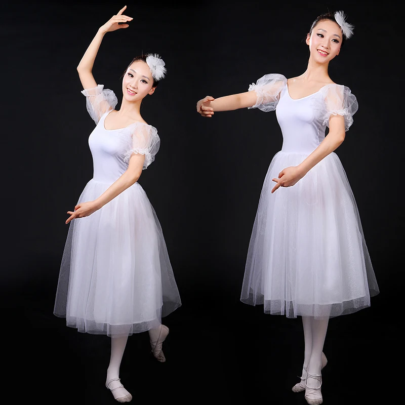 Girls Kids Gymnastics Ballet Dance Dress With Tutu Skirt