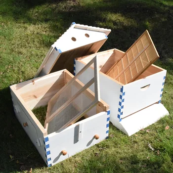 

Beehive Box Automatic Wooden Bee Hive House Wooden Bees Box Beekeeping Equipment Beekeeper Tool for Bee Hive Supply
