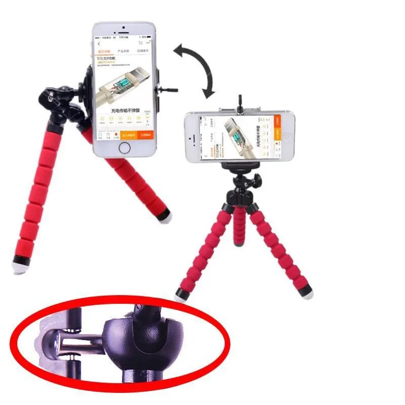 5130616456_1504979853