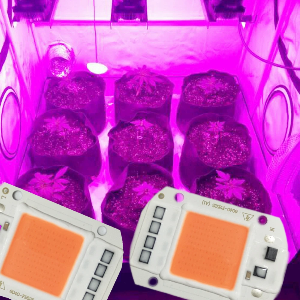 Levou Crescer Luzes lâmpada espectro completo 50 w Modelo Número : Led Cob Chip