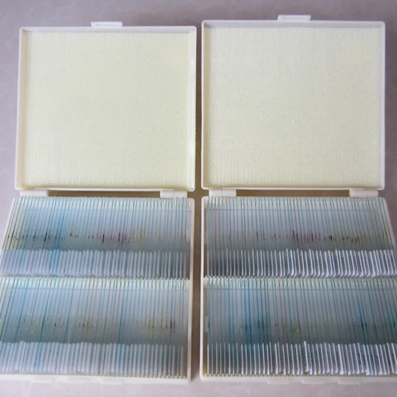 200pcs Professional  Biological Microscope Lab Laboratory Plant Animal Insect Prepared Specimen Glass Microscope Slides