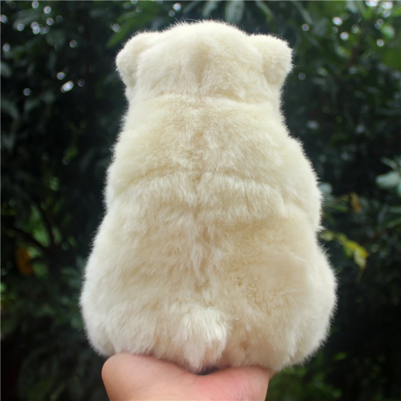 kawaii polar bear plush toy doll girl doll animals bear dolls white bear hug pillow children birthday gift 11inch 28cm DY50396 (6)
