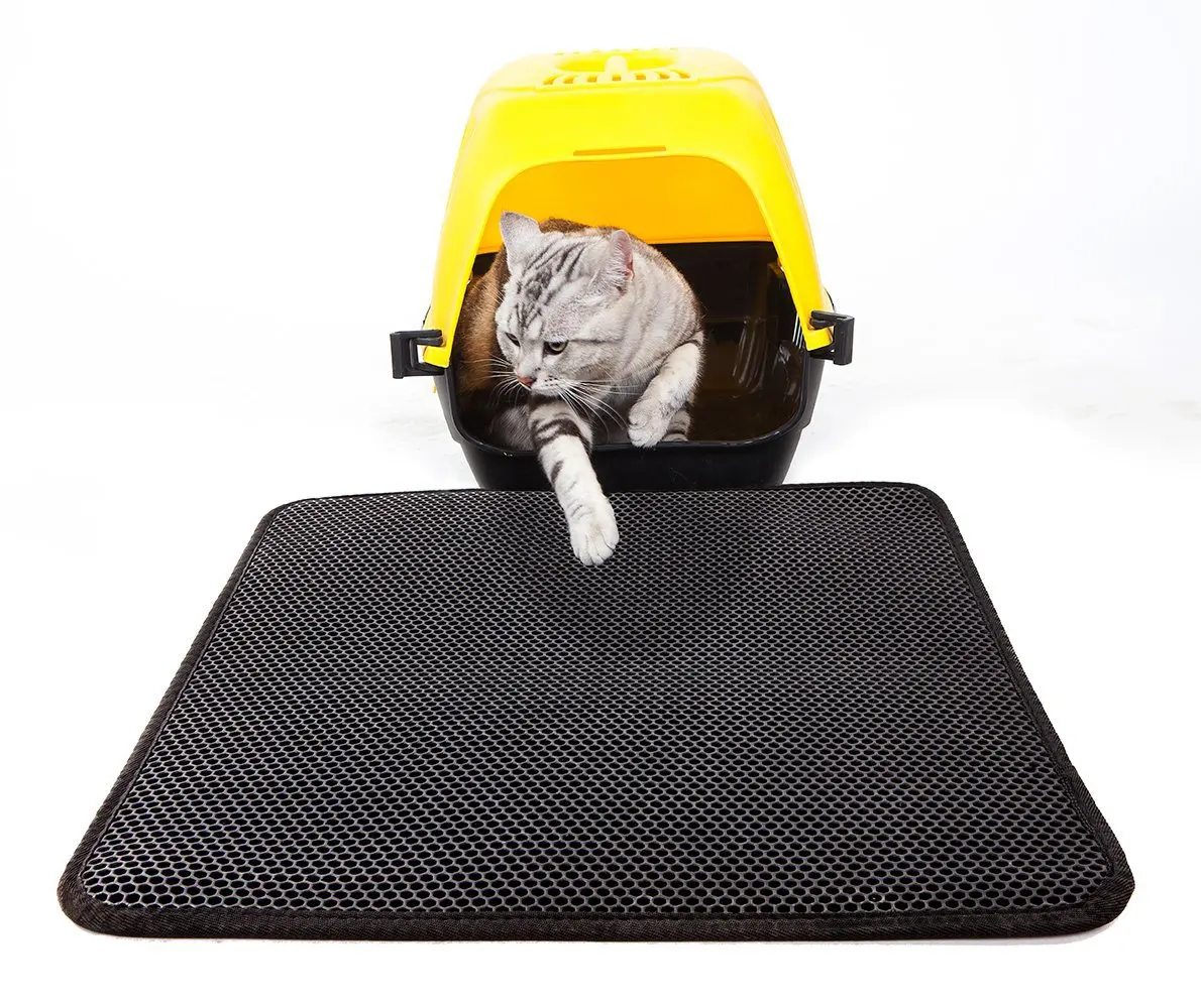 71yxp8nd0wL._SL1190_