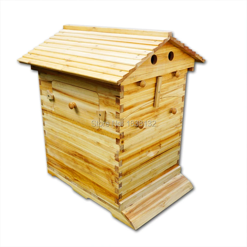 

New Design Flow Bee Hive With 7 Flow Frames Automatic Self Flowing Honey Beehive Beekeeping Tools Beekeeper Supplies BH-10