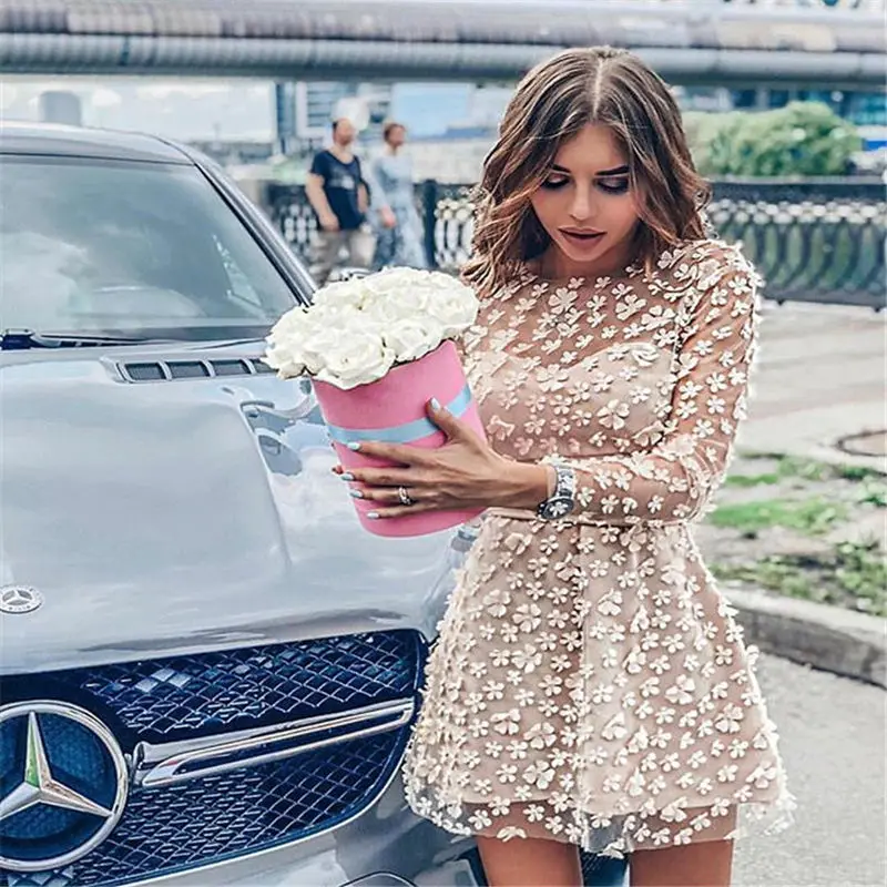 

Summer 2019 Mini Dress Sexy Celebrity See-Through Full Mesh Women Embroidery O Neck Night Club Body con Party Dresses Wholesale