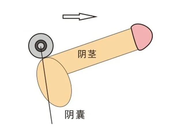 3426533332_1729638311