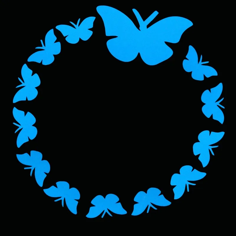 BE 13 Butterflies