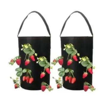

AR-5 colors fang colors Black Thickening Fabric Pot Plant Pouch Root Container Grow Bag Tools Garden Pots Planters Supplies