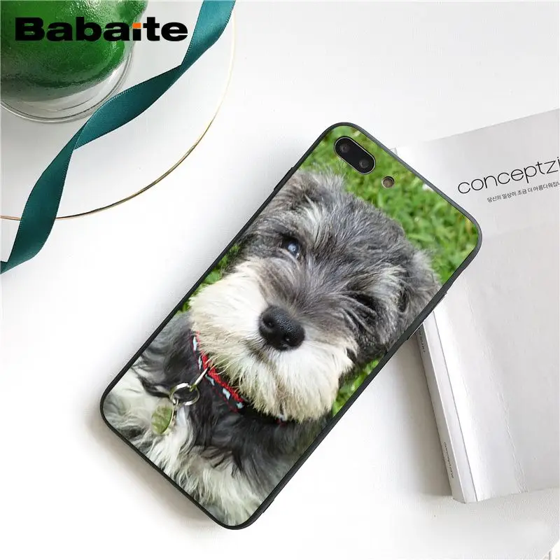 Babaite чехол для телефона с милыми собаками Шнауцер для iphone 11 Pro 11Pro Max 8 7 6 6S Plus X XS MAX 5 5S SE XR
