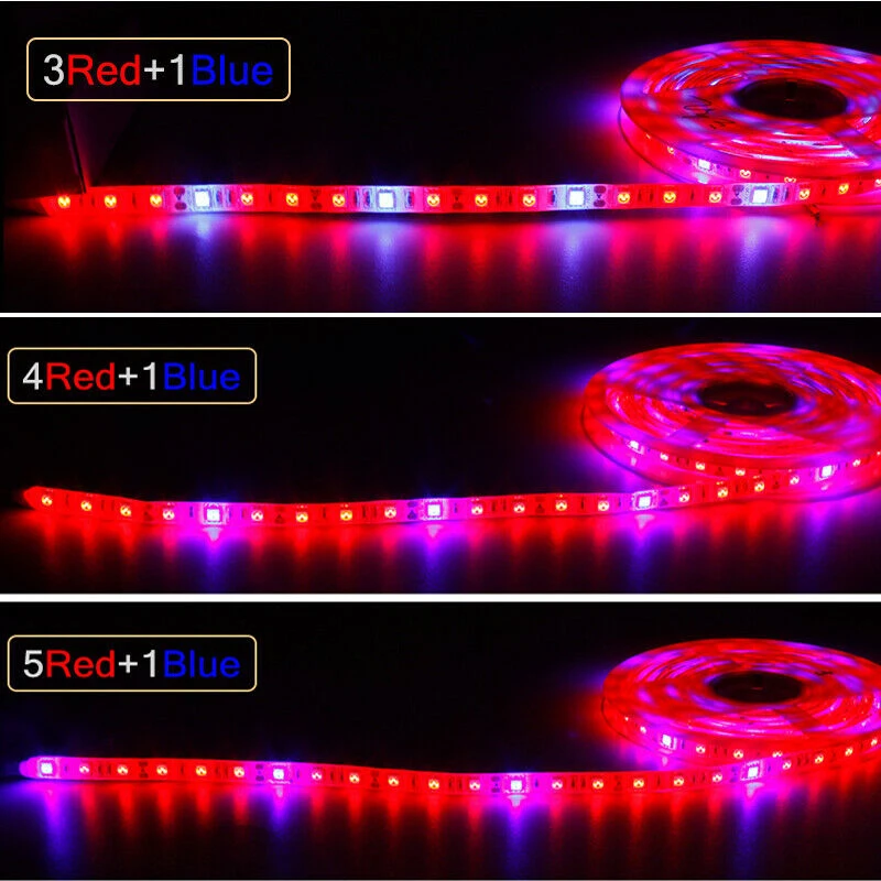 12 В постоянного тока Светодиодный светильник для выращивания 2 м 3 м 5 м светодиодный светильник гибкая лента 5050 светодиодный Фито лампы для роста растений для теплицы гидропоники