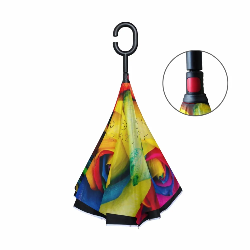 g1286962p183c217s313_2