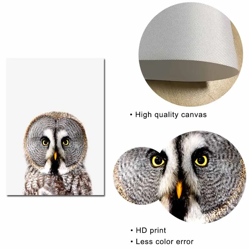 Safari NurseryWall Art олень Буффало Сова Холст Живопись розовые постеры с животными и