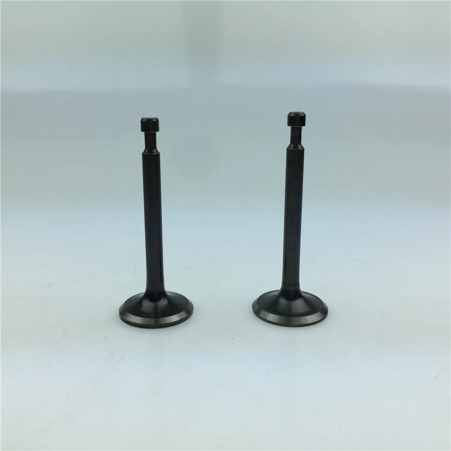 

STARPAD Auto repair parts gasoline generator pumps 168F / 170F 2KW 2.5KW 2.8KW 2-inch 3-inch intake and exhaust valves