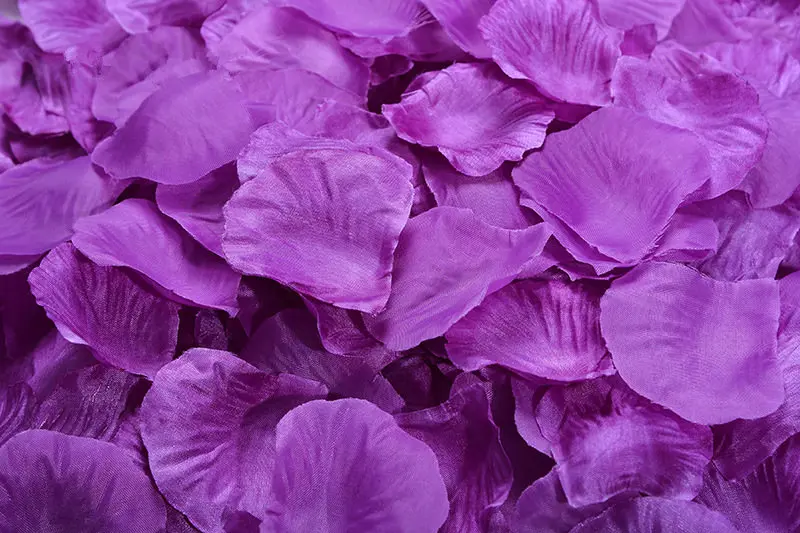 2382-09-10pcs-deep purple-