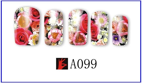 A099