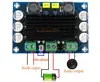 Carte d'amplificateur Audio de puissance numérique Mono canal TPA3116 D2 TPA3116DA DC 12V 24V 100W ► Photo 1/4