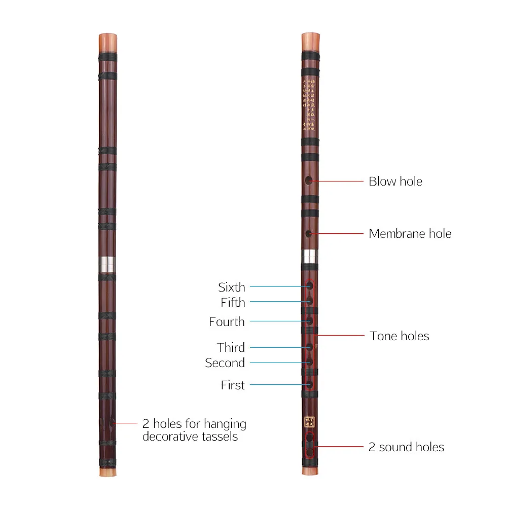 C/D/E/F/g ключ Dizi Китайская традиционная духовой инструмент Dizi горький Бамбуковые флейты с китайскими узел для начинающих