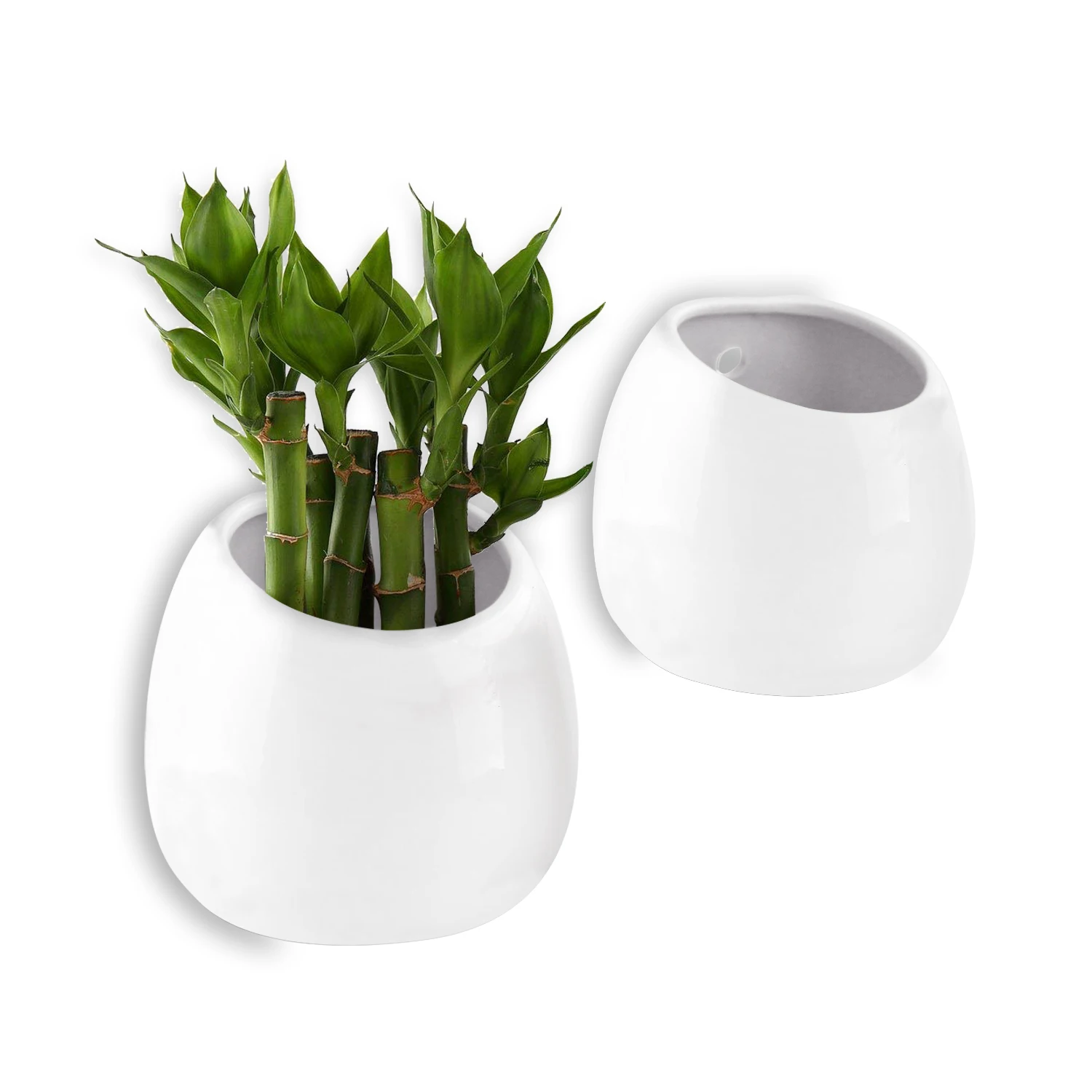 

T4U 3.9" Wall hanging planter Mounted succulent planter Ceramic Flower Plant Pot air plant holder maceta bonsai pots
