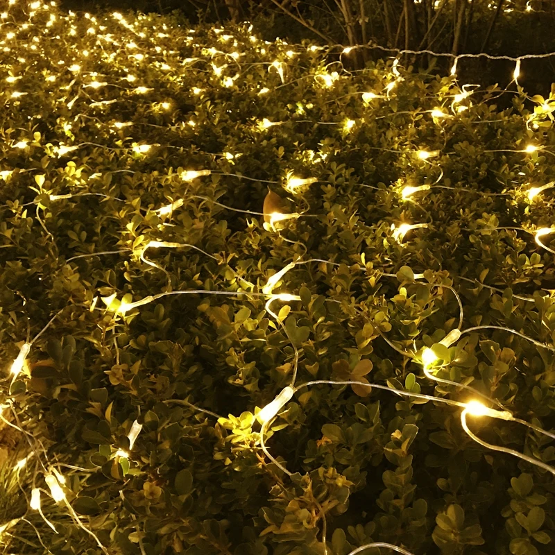 christmas lights
