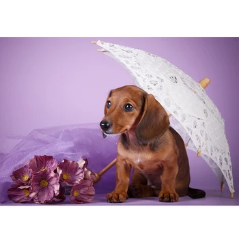 

5D DIY Diamond Painting New Animal Dachshund Dog Cross Stitch Diamond Embroidery Mosaic rhinestone Needlework Home Decor Gift