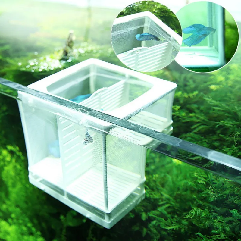 Aquarium Incubator Breeder Fish Tank Breeding Isolation Box Aquarium