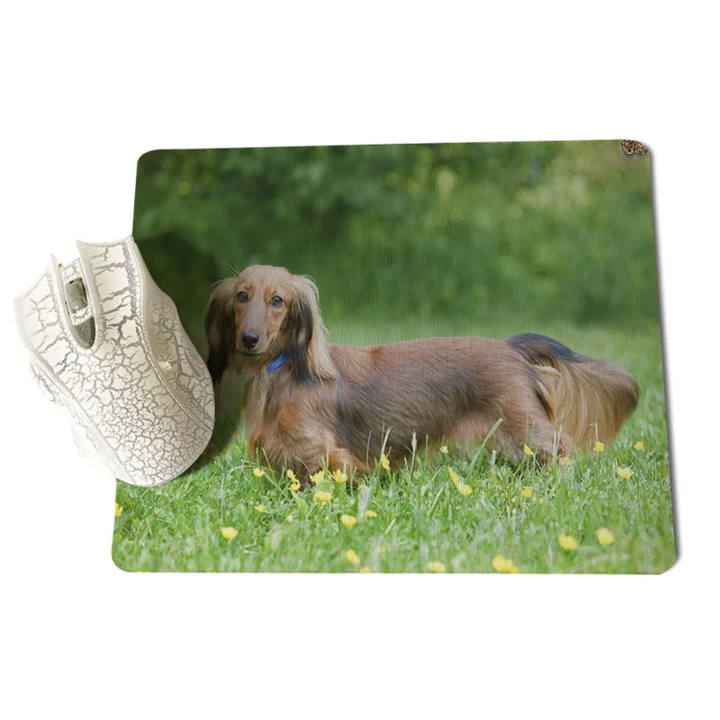 25X29cm MaiYaCa Новое поступление Dachshung собака противоскользящие прочные силиконовые коврики размер для 180x220x2 мм и 250x290x2 мм маленький коврик для мыши - Цвет: 25X29cm