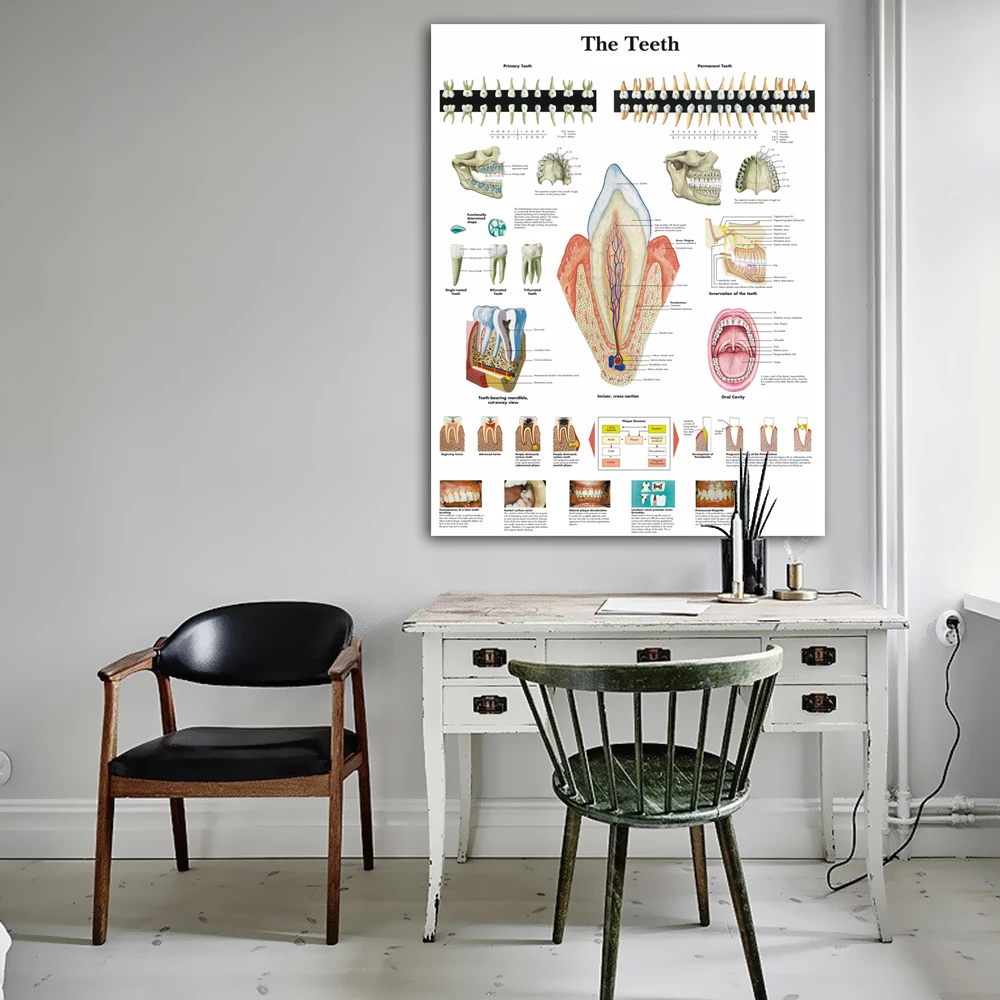 Kaufen WANGART Anatomischen Charts Menschlichen Zähne Diagramm Leinwand Malerei Poster Drucken Wand Bilder Für Medizinische Bildung Büro Wohnkultur