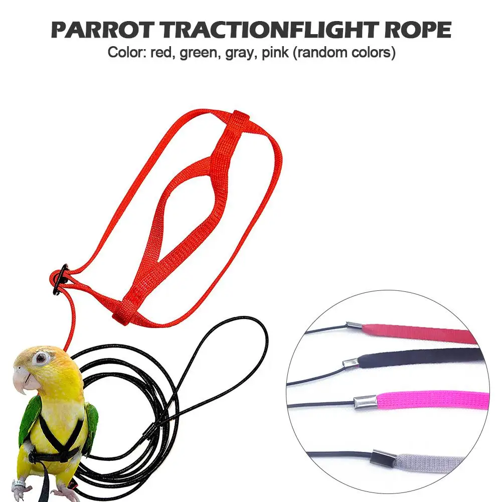 

Bird Parrot Harness Leash Ultralight Anti-bite Bird Flying Traction Rope Training Leashes Outdoor Carrying For Parrots Birds