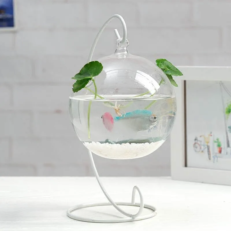 Диаметр = 10 см 36 шт./упак. стеклянная террариумная ваза с 2 небольшими отверстиями для дома декоративные творческие подвешенный стеклянный шар контейнер для растений