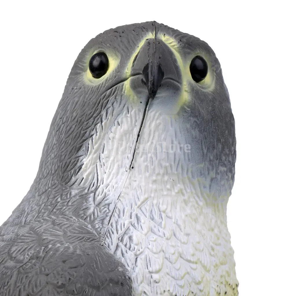 2 Pcs / Set Realistic 3D Lifelike Eagle Hunting Shooting Decoy Weed Pest Control Bird Pigeon Crow Scarer Scarecrow Garden Decor