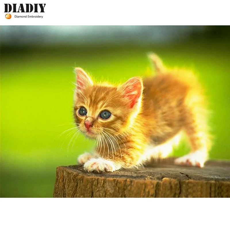 DIADIY 5D алмазная живопись сделай сам картина с золотым котенком мозаика вышивка