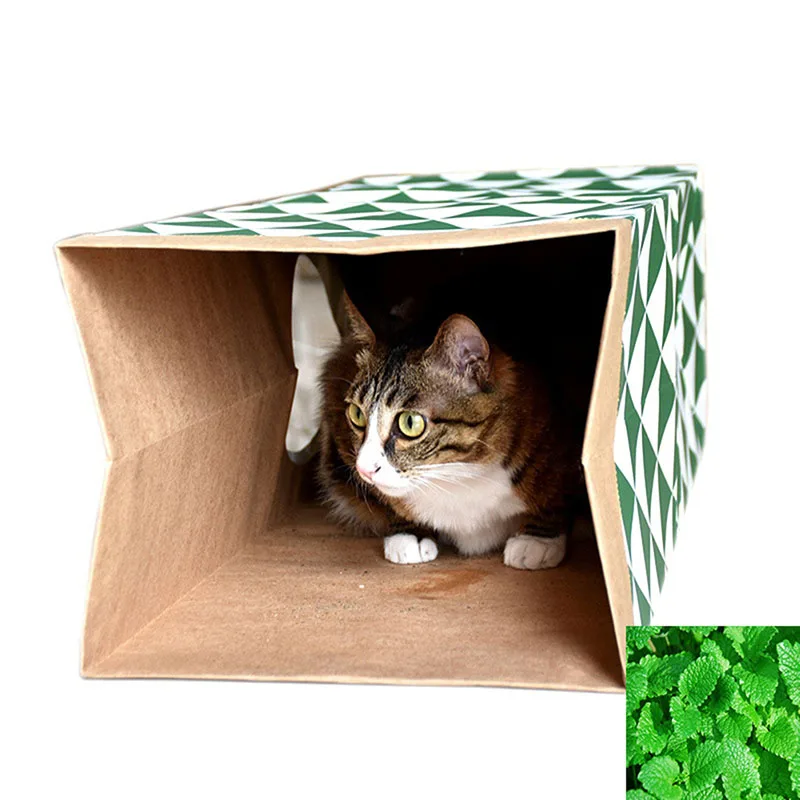 

Folding Portable Cat Tunnel Creative Pet Kitten Cat Play Toy Tunnel Green White With Catnip Toys