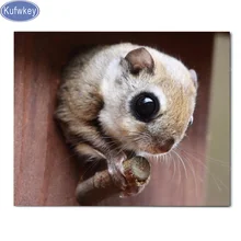 Pteromys volans hayvan pet Resimler, 5d elmas boyama tam kare yuvarlak, Çapraz Dikiş Mozaik elmas Nakış satış çıkartmaları