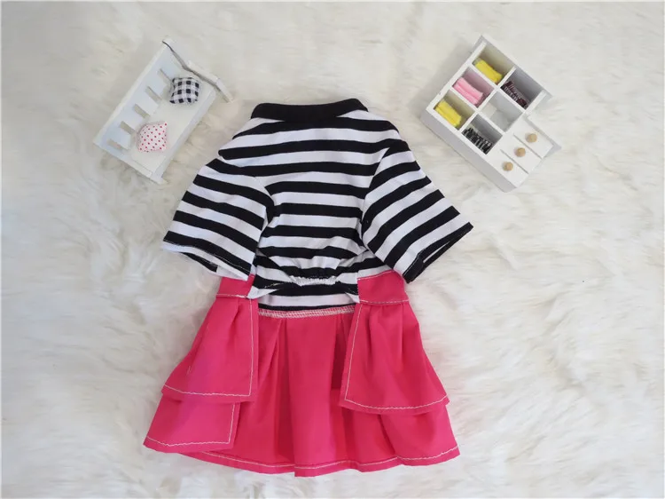 Dogs Clothes (2)
