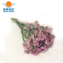 Розовый цвет сушеные натуральные Цветочные букеты Натуральные Сушеные миозотис сильватика букеты и забудьте меня не Цветочные букеты