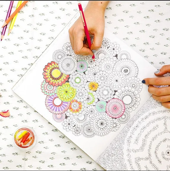 Secret Garden An Inky Treasure Hunt Coloring Book+Color Pencil ... Secret Garden An Inky Treasure Hunt Coloring Book+Color Pencil ...
