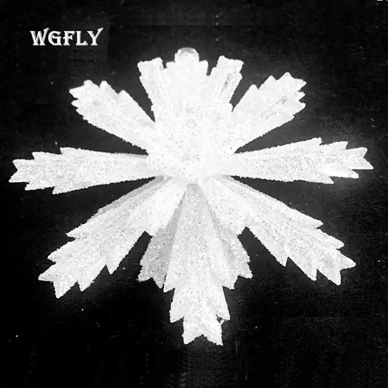 www (1)