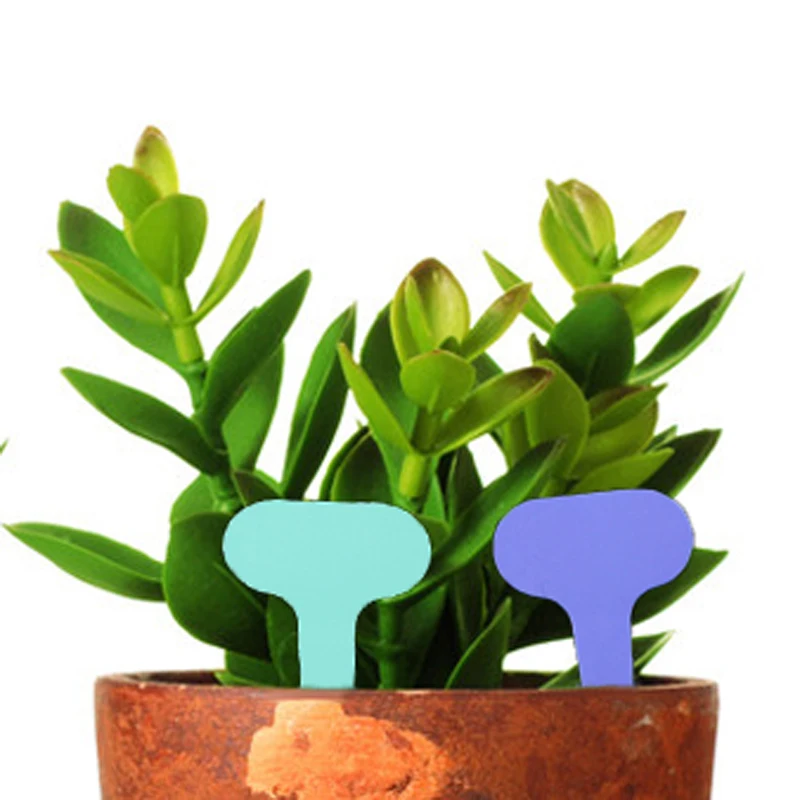 200pcs Plastic Labels Garden Flowers Bonsai Nursery Plant Identification Signs Prompt Card Tool Vegetable Decorations